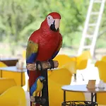Bauernhof Simlarda Aquapark *