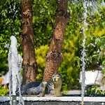 Bauernhof Simlarda Aquapark Ayvalı