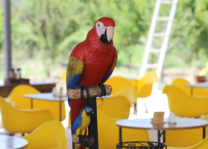 בית חווה Simlarda Aquapark *