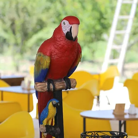 Vakantieboerderij Simlarda Aquapark *