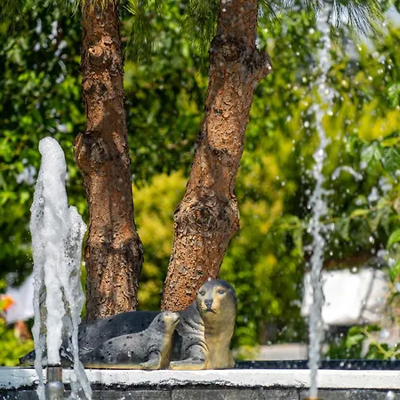 Farma Simlarda Aquapark Ayvalı