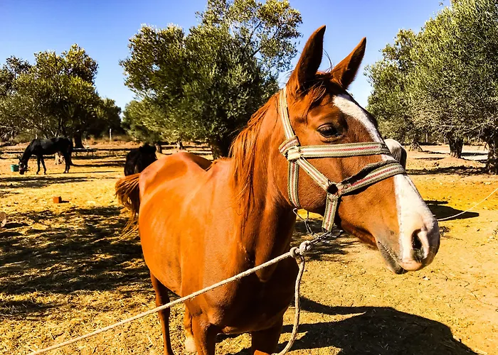Simlarda Aquapark Séjour à la ferme
